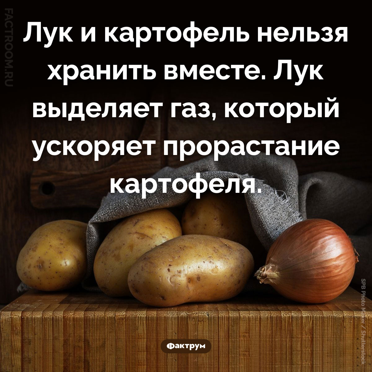 Картофель нельзя хранить с&nbsp;луком. Лук и картофель нельзя хранить вместе. Лук выделяет газ, который ускоряет прорастание картофеля.