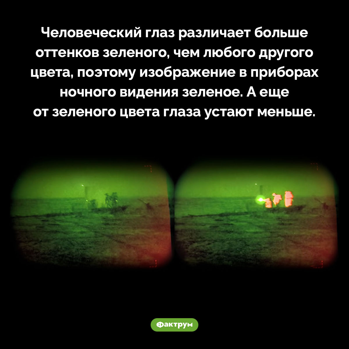 Почему изображение в приборе ночного видения зеленое. Человеческий глаз различает больше оттенков зеленого, чем любого другого цвета, поэтому изображение в приборах ночного видения зеленое. А еще от зеленого цвета глаза устают меньше.
