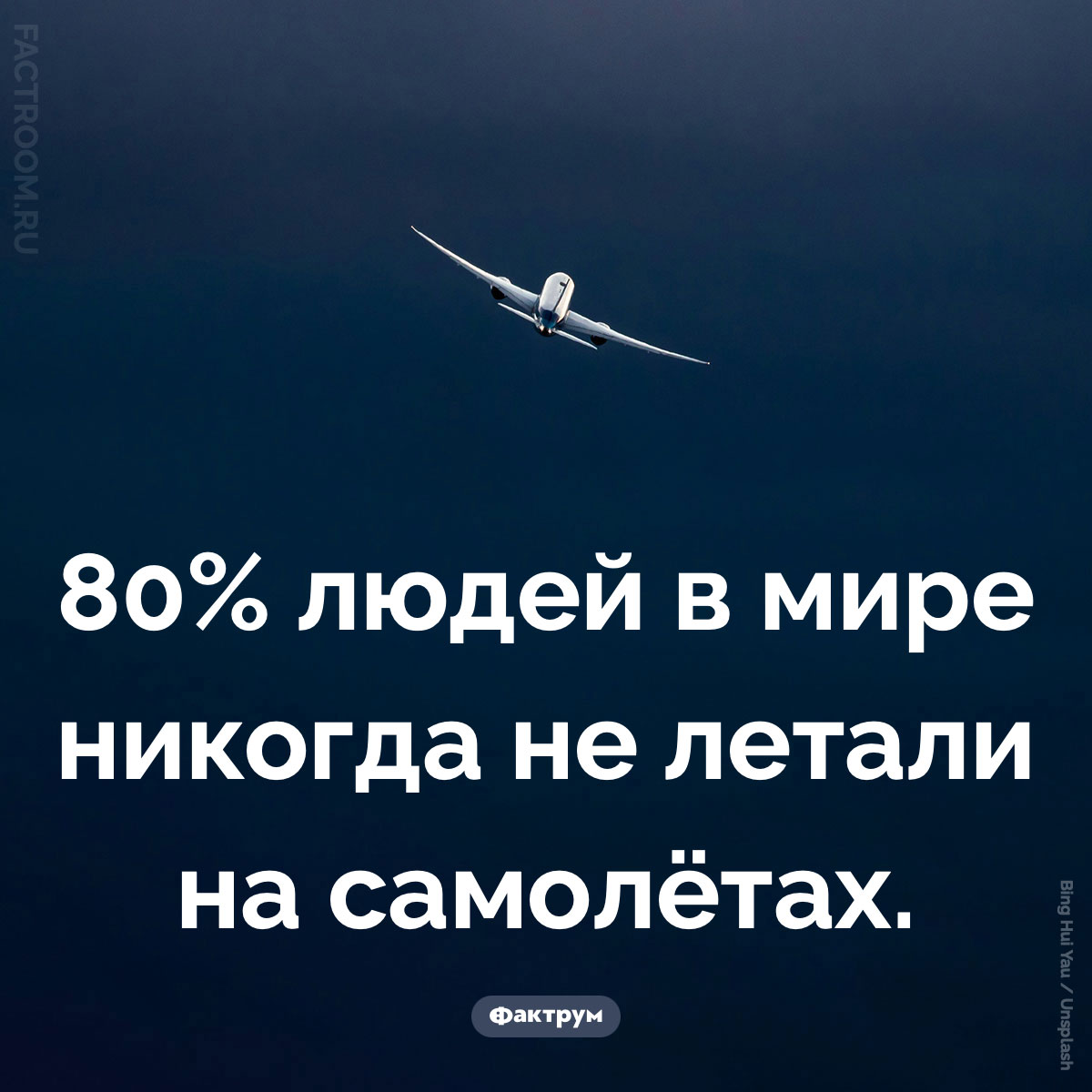 Сколько людей никогда не&nbsp;летали на&nbsp;самолётах?. 80% людей в мире никогда не летали на самолётах.