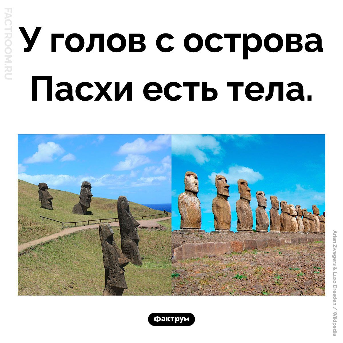 Тела Моаи. Когда археологи решили посмотреть, что находится под знаменитыми монументами голов, выяснилось, что там… всё остальное, что должно быть ниже шеи!