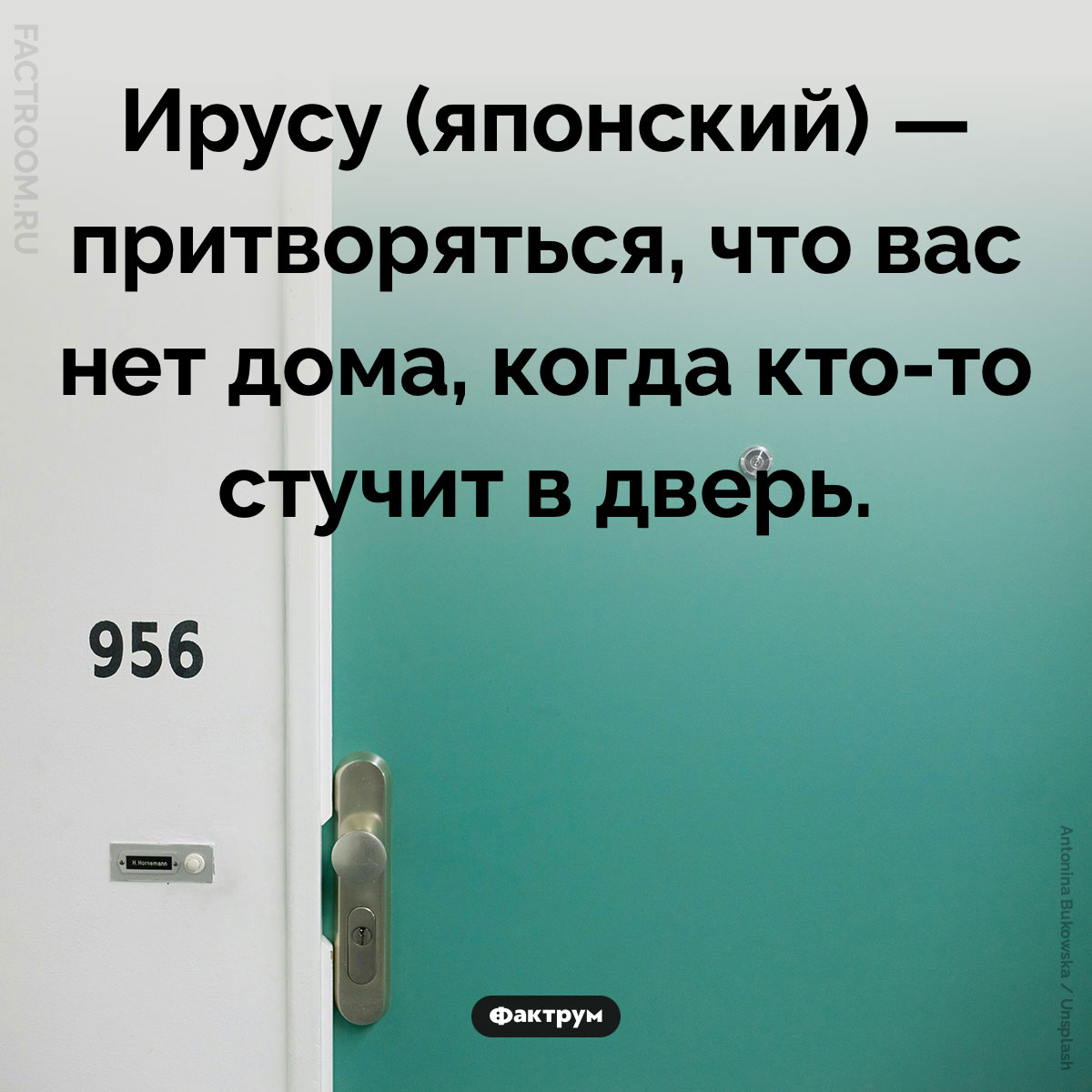 У&nbsp;японцев есть особое слово для случаев, когда человек притворяется, что его нет дома. Ирусу (японский) — притворяться, что вас нет дома, когда кто-то стучит в дверь. 