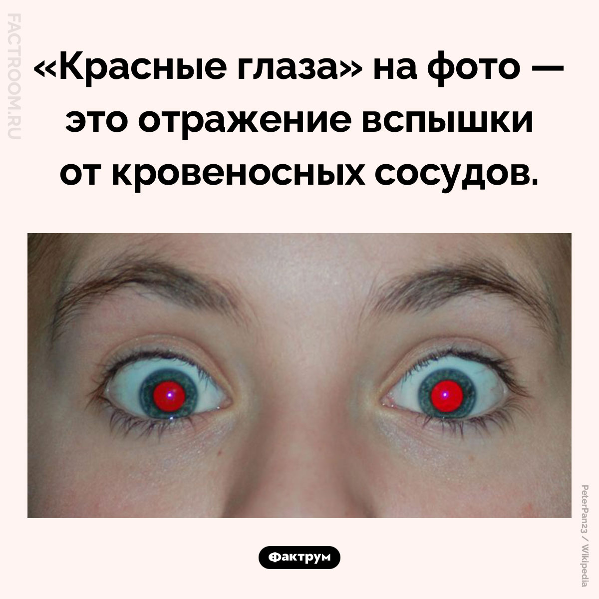 Почему на фото возникают «красные глаза». «Красные глаза» на фото — это отражение вспышки от кровеносных сосудов.