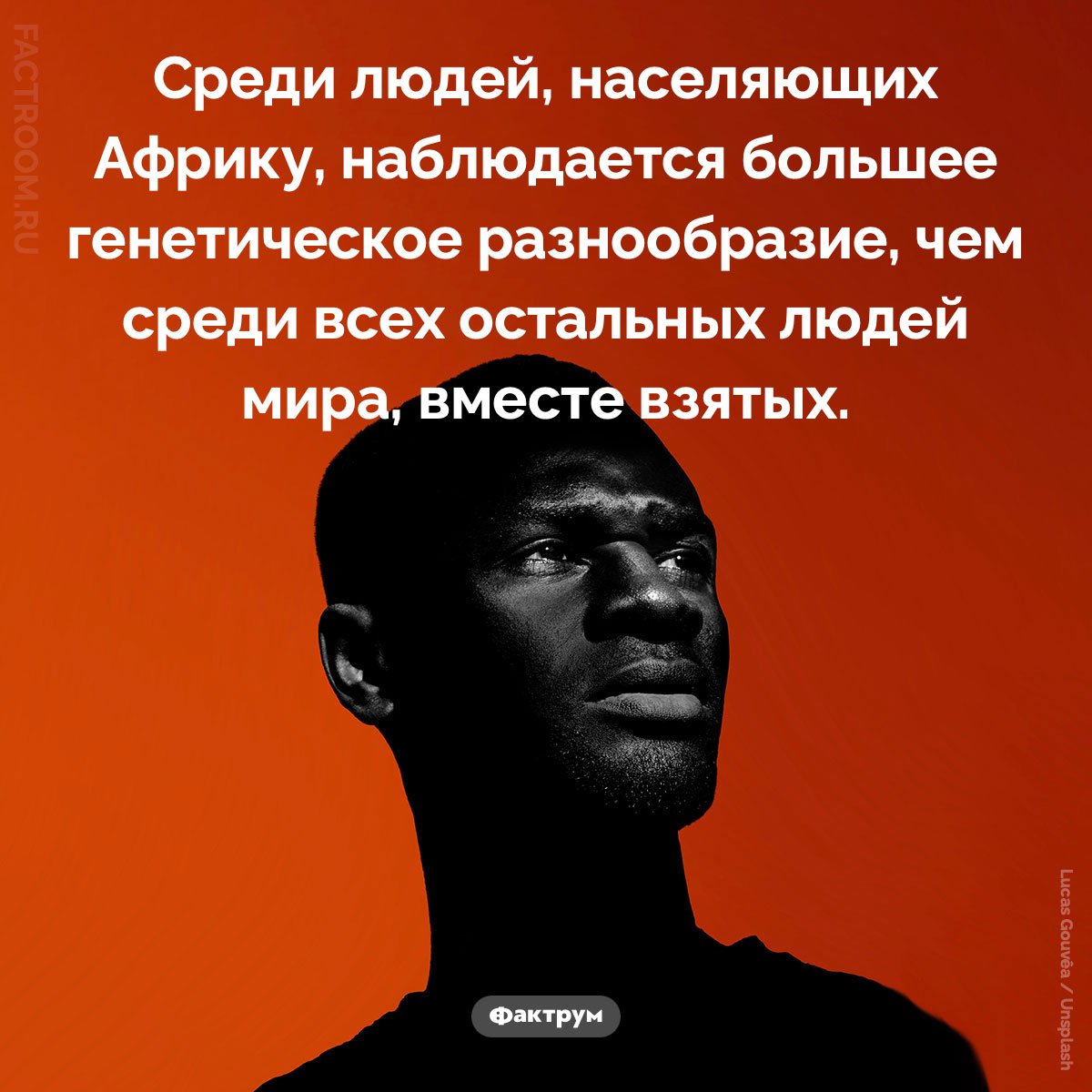 Самое большое генетическое разнообразие среди людей наблюдается в&nbsp;Африке. Среди людей, населяющих Африку, наблюдается большее генетическое разнообразие, чем среди всех остальных людей мира, вместе взятых.