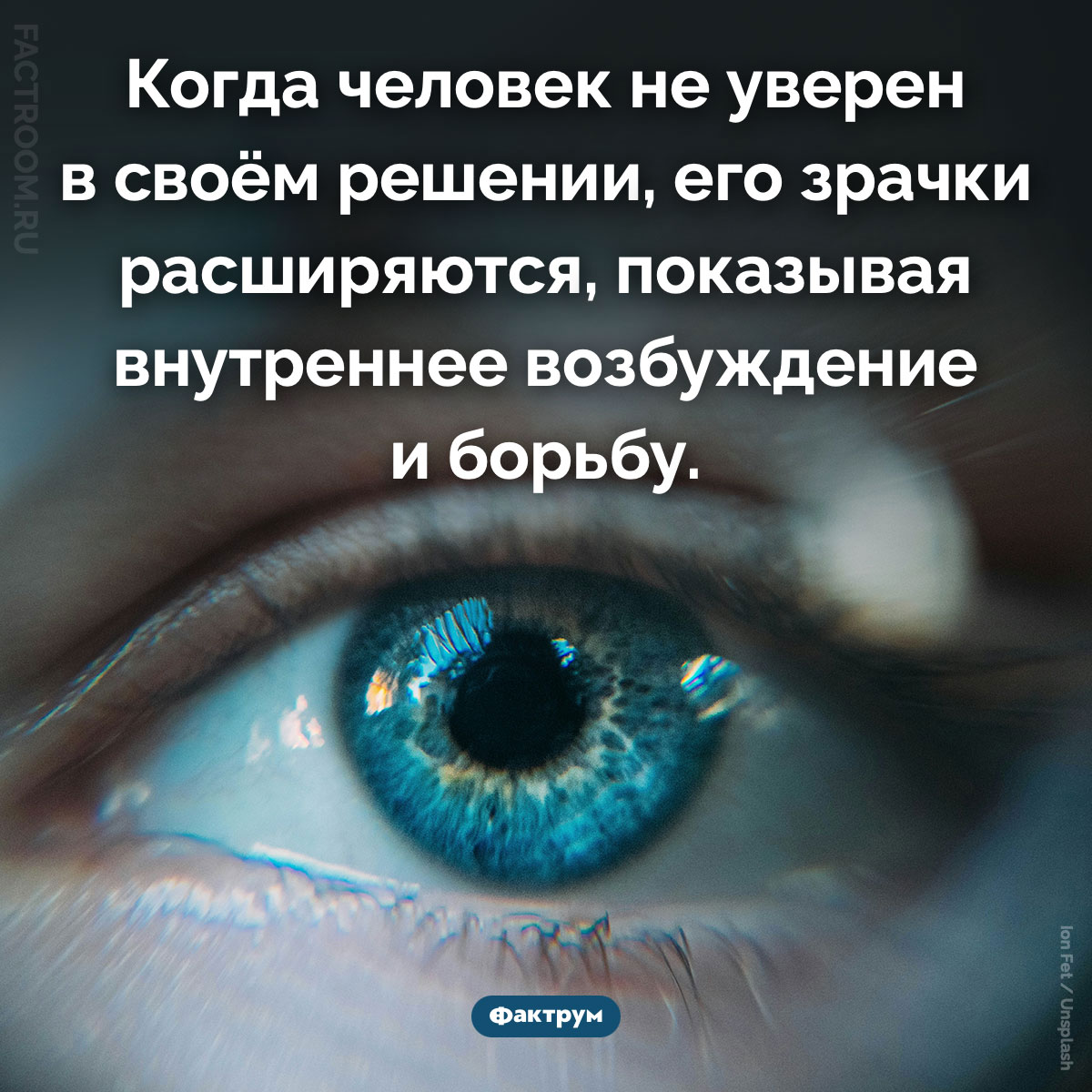 Если вы не&nbsp;уверены в&nbsp;своём решении, ваши зрачки расширяются. Когда человек не уверен в своём решении, его зрачки расширяются, показывая внутреннее возбуждение и борьбу.
