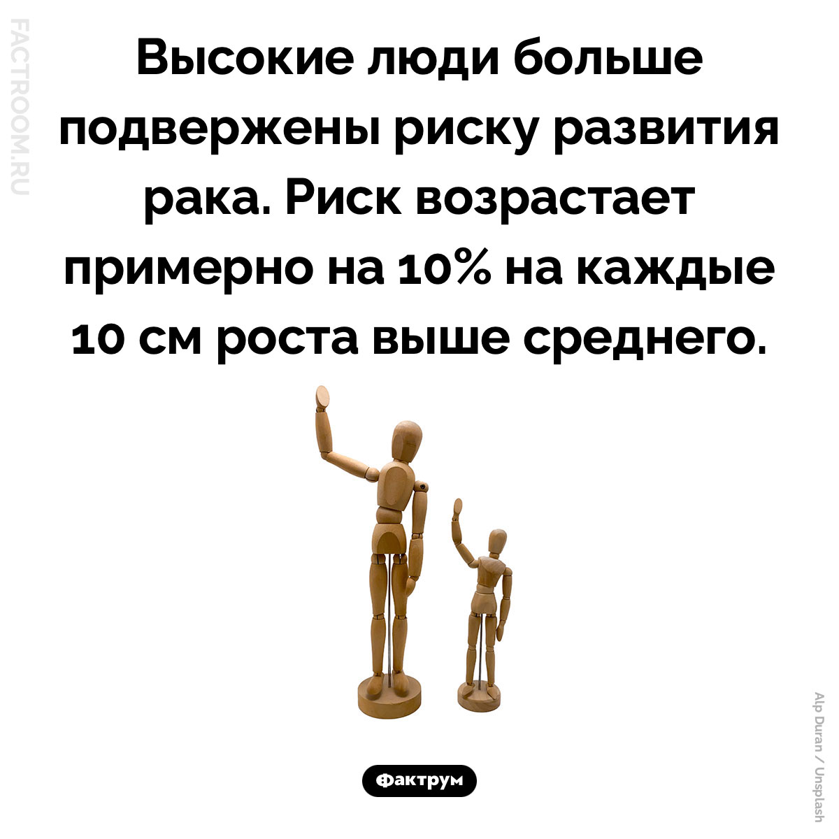 Высокие люди больше подвержены риску развития рака. Высокие люди больше подвержены риску развития рака. Риск возрастает примерно на 10% на каждые 10 см роста выше среднего.