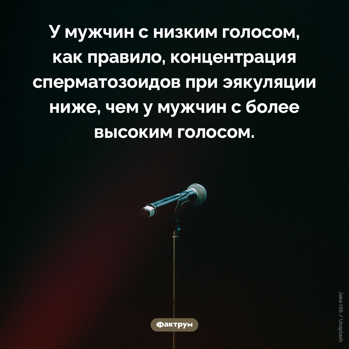 Низкий голос и сперматозоиды. У мужчин с низким голосом, как правило, концентрация сперматозоидов при эякуляции ниже, чем у мужчин с более высоким голосом.