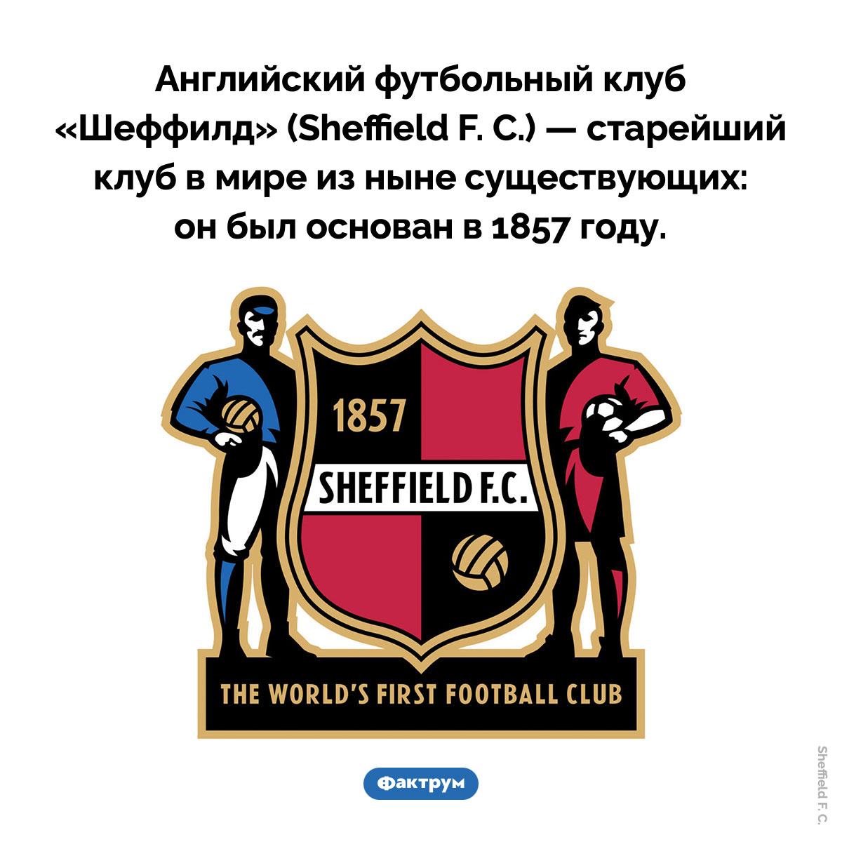 Самый старый футбольный клуб в мире. Английский футбольный клуб «Шеффилд» (Sheffield F. C.) — старейший клуб в мире из ныне существующих: он был основан в 1857 году.