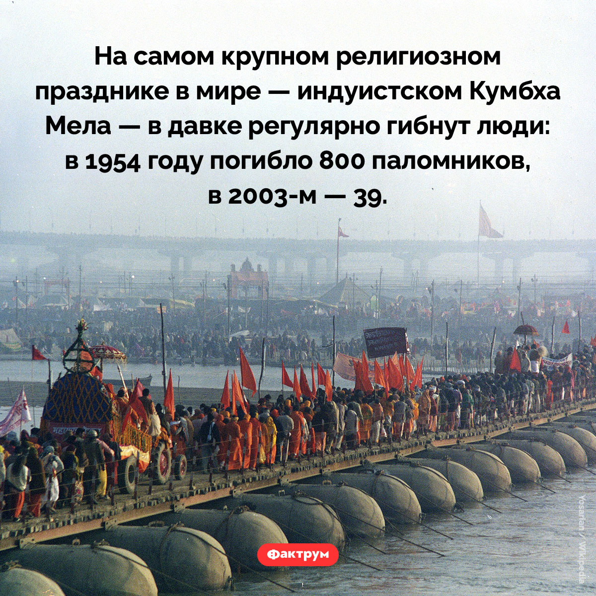 Давка на празднике Кумбха Мела. На самом крупном религиозном празднике в мире — индуистском Кумбха Мела — в давке регулярно гибнут люди: в 1954 году погибло 800 паломников, в 2003-м — 39.
