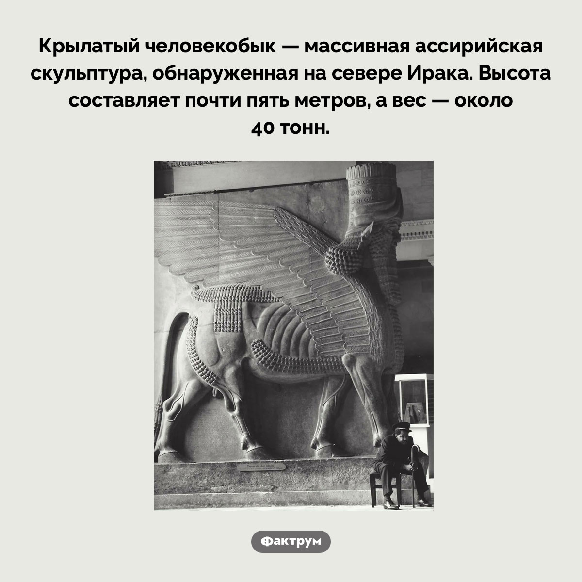 Крылатый человекобык