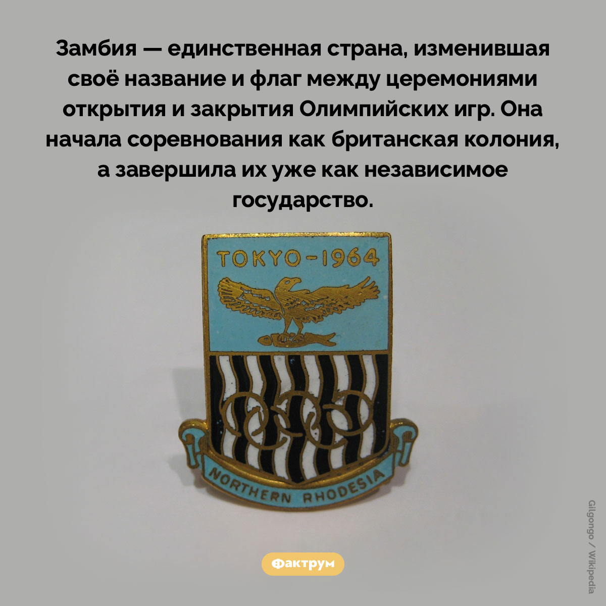 Замбия сменила название и флаг прямо посреди Олимпиады
