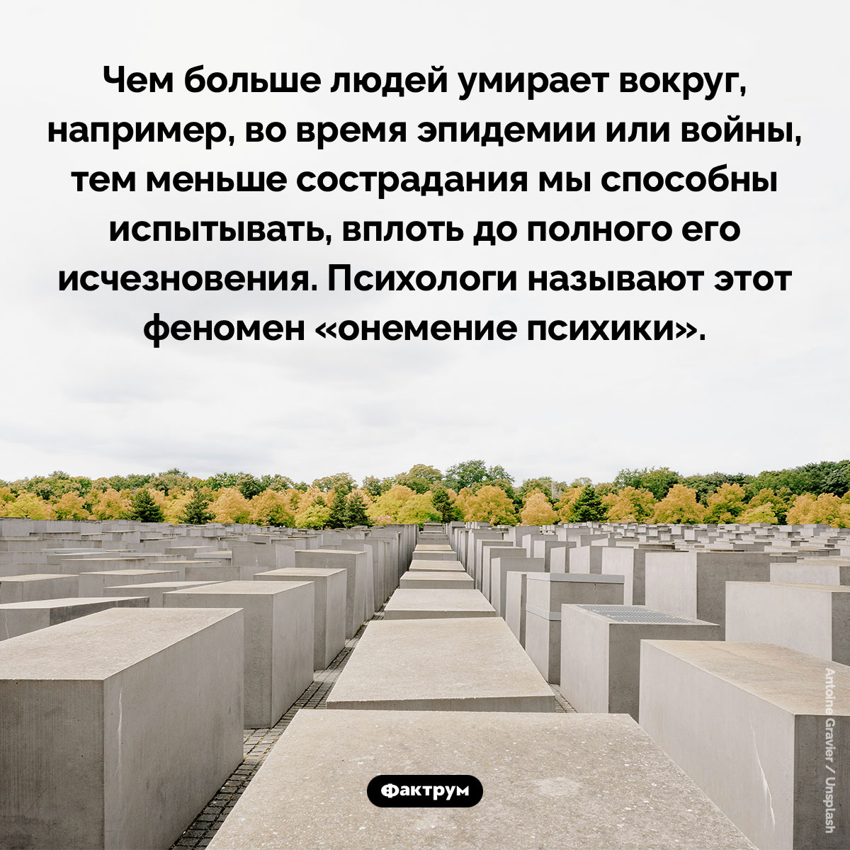 Что такое «онемение психики» и что его вызывает