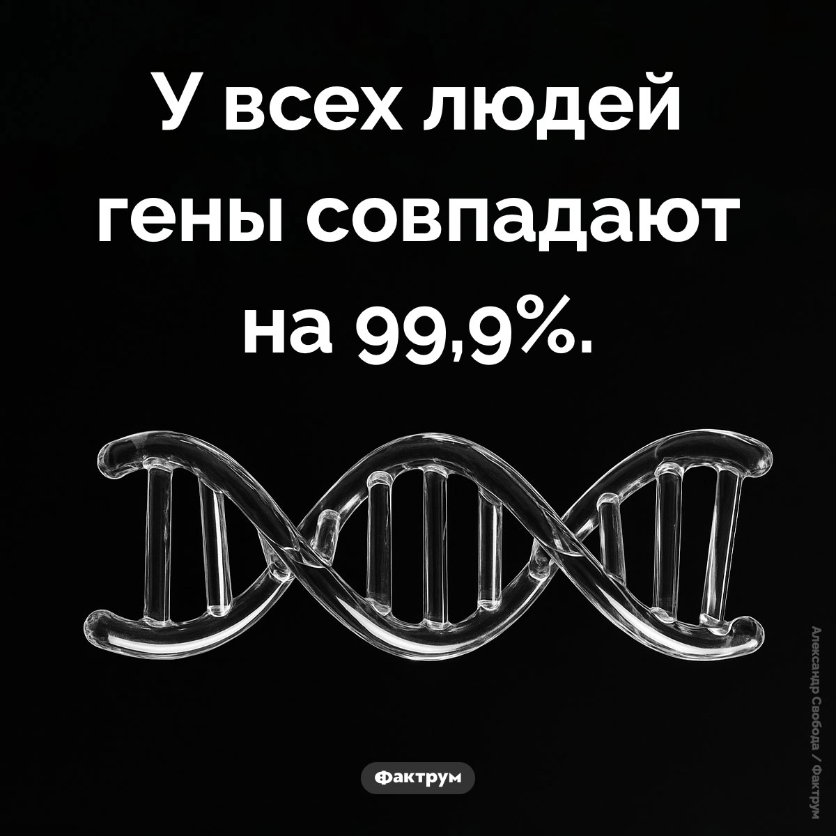 Гены всех людей совпадают на 99,9%