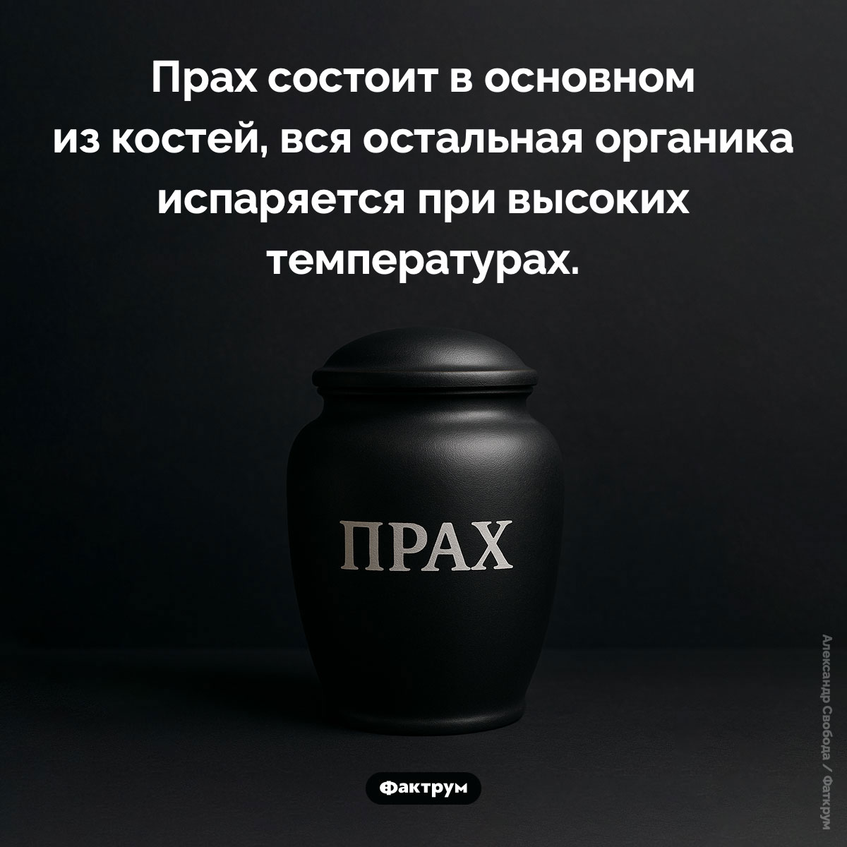 Из чего состоит прах. Прах состоит в основном из костей, вся остальная органика испаряется при высоких температурах.