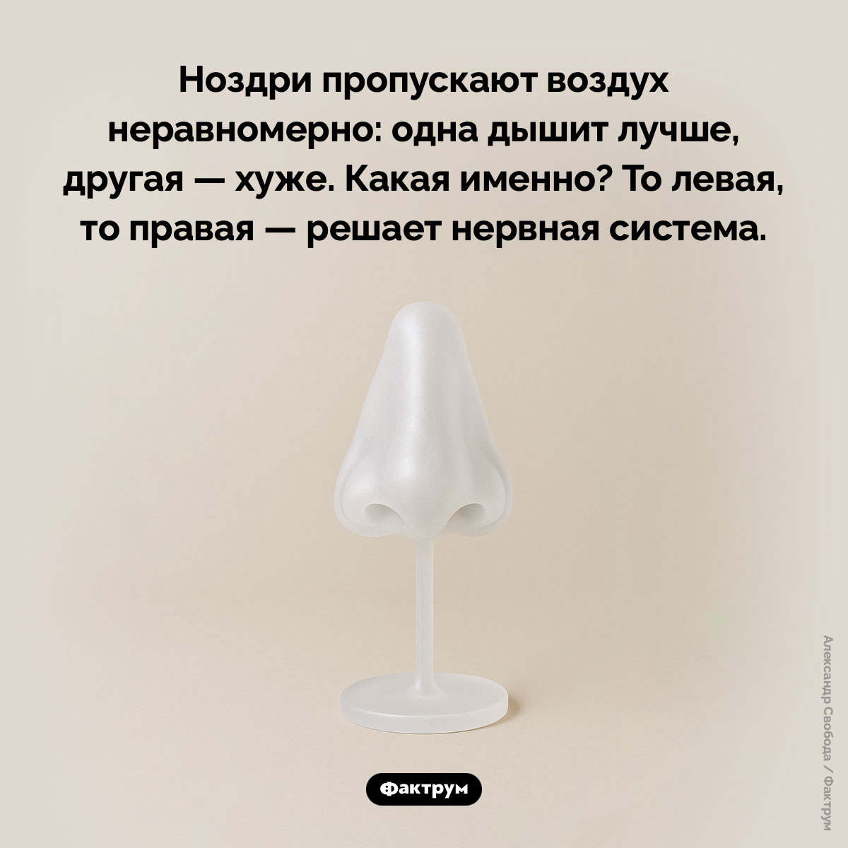 Одна ноздря дышит лучше