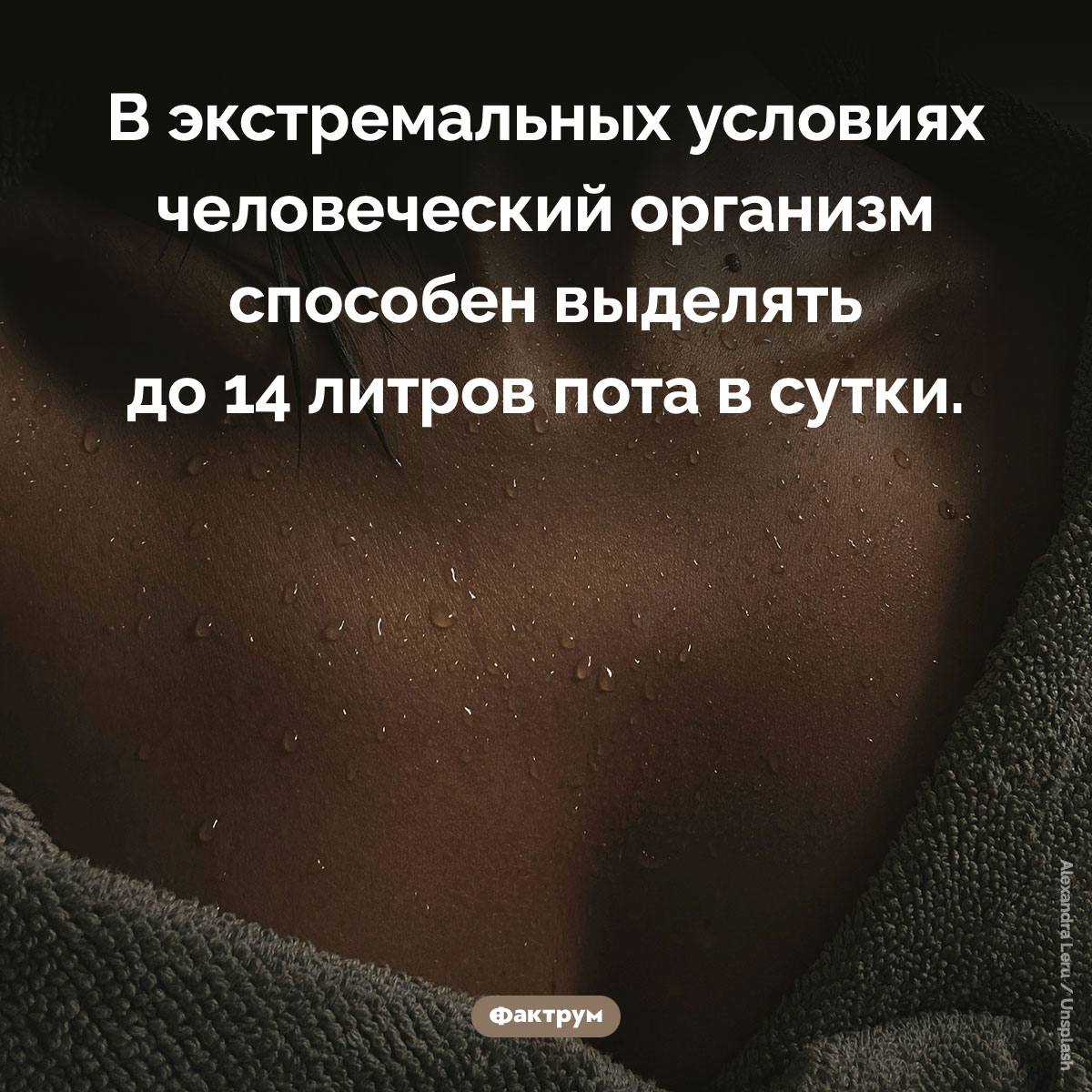 Сколько пота в сутки может выделить человек