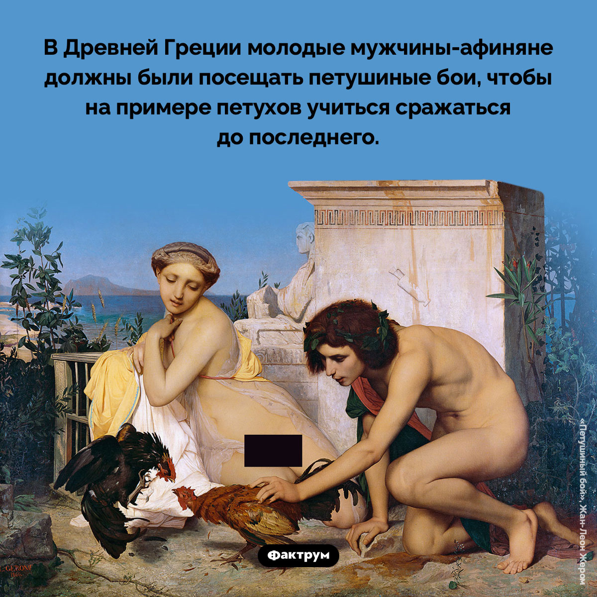 Чему афиняне учились у петухов
