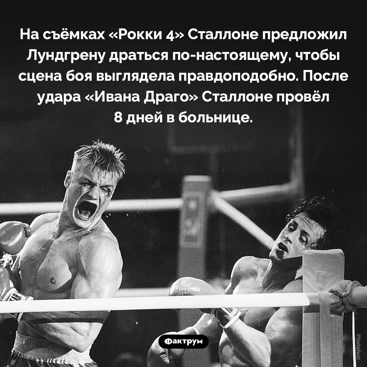 Удар Лундгрена уложил Сталлоне в больницу на 8 дней. На съёмках «Рокки 4» Сталлоне предложил Лундгрену драться по-настоящему, чтобы сцена боя выглядела правдоподобно. После удара «Ивана Драго» Сталлоне провёл 8 дней в больнице.