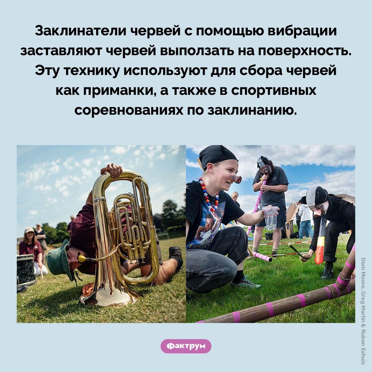 Заклинание червей