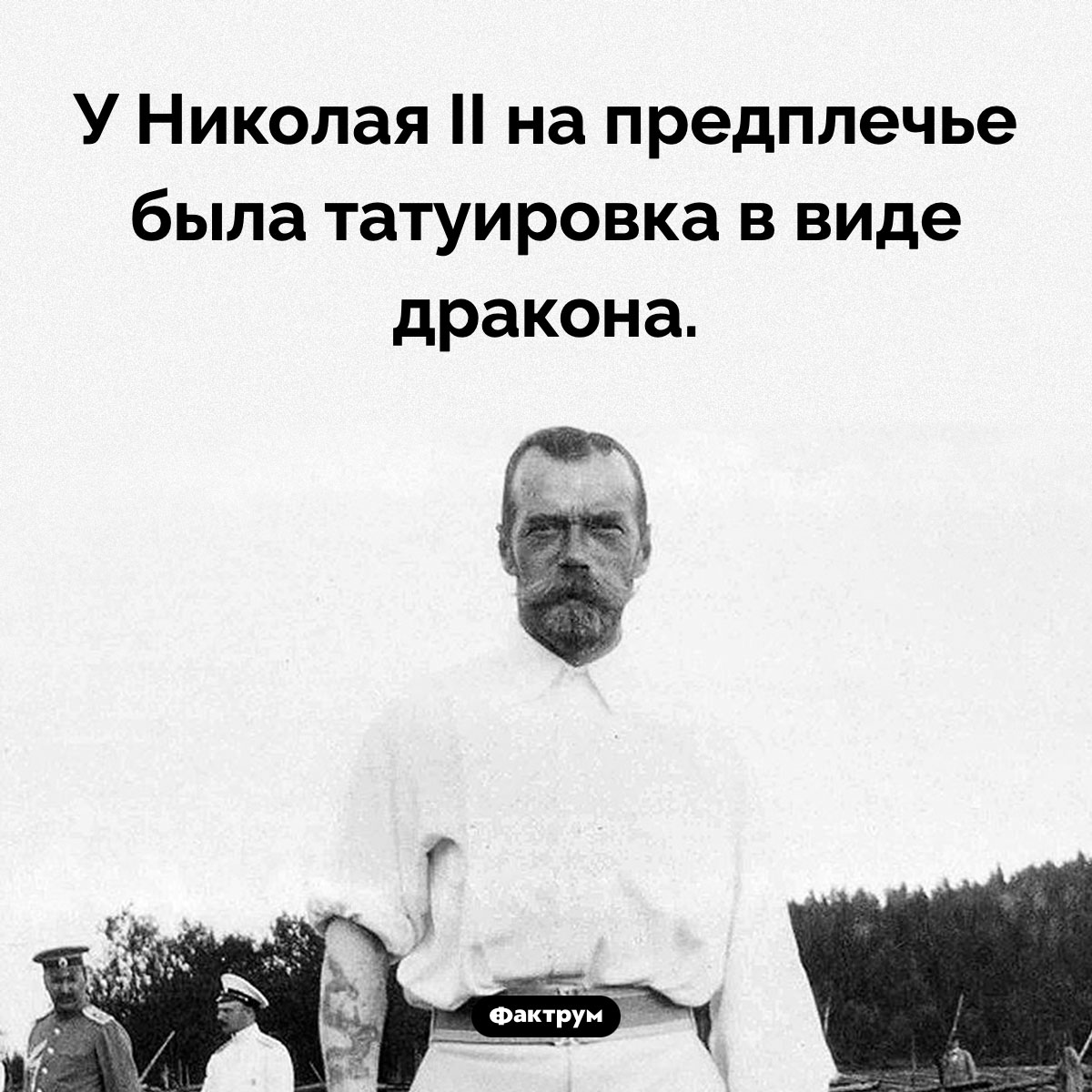 Царь-батюшка с татуировкой дракона. У Николая II на предплечье была татуировка в виде дракона.