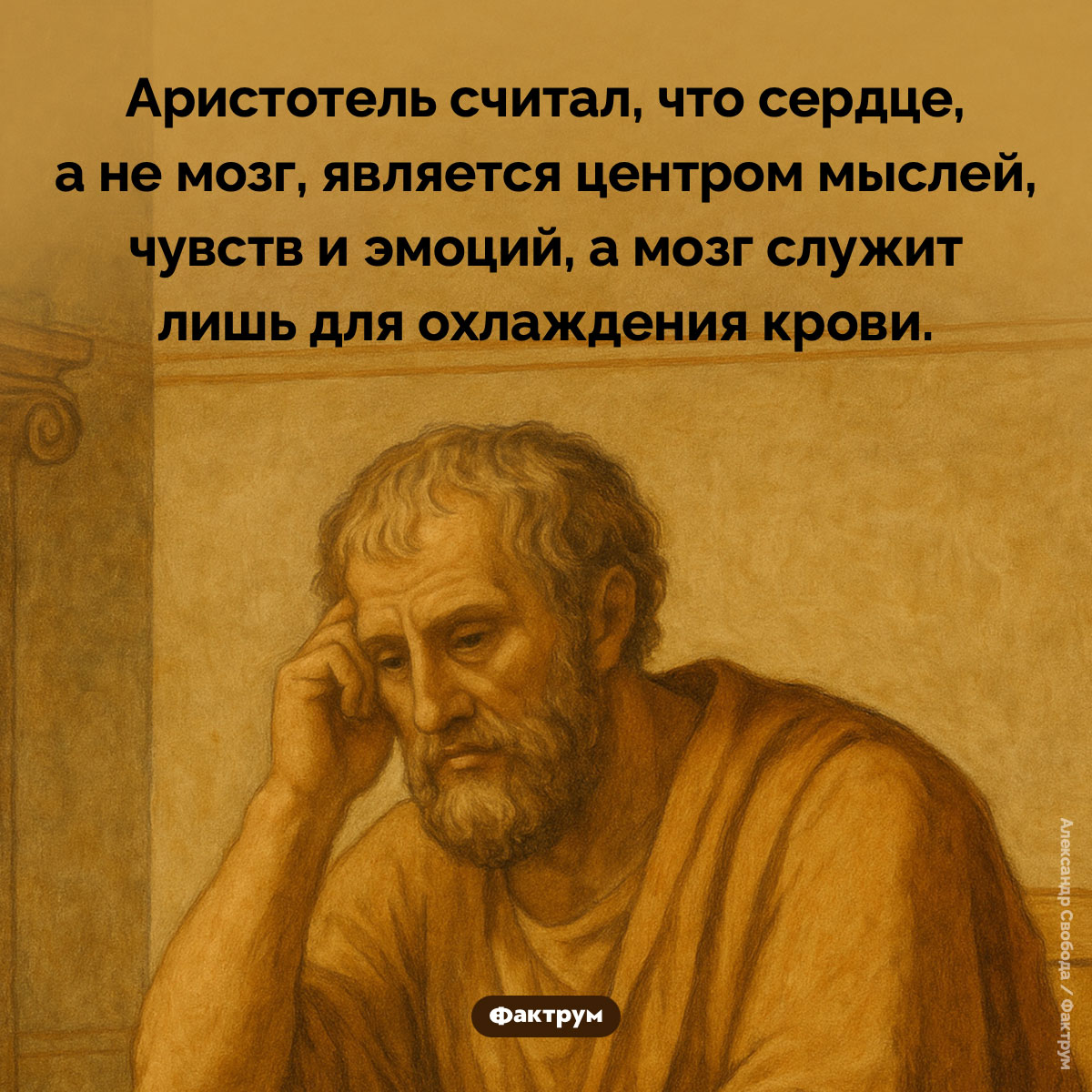 Аристотель считал, что мы думаем сердцем