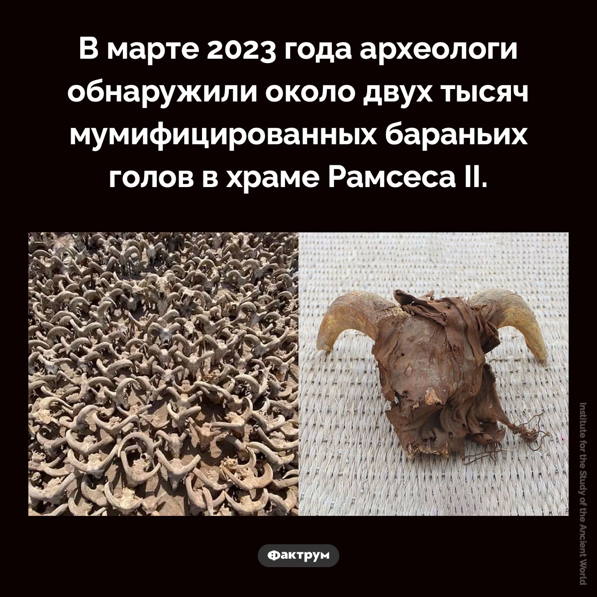 Бараньи головы в храме Рамсеса II
