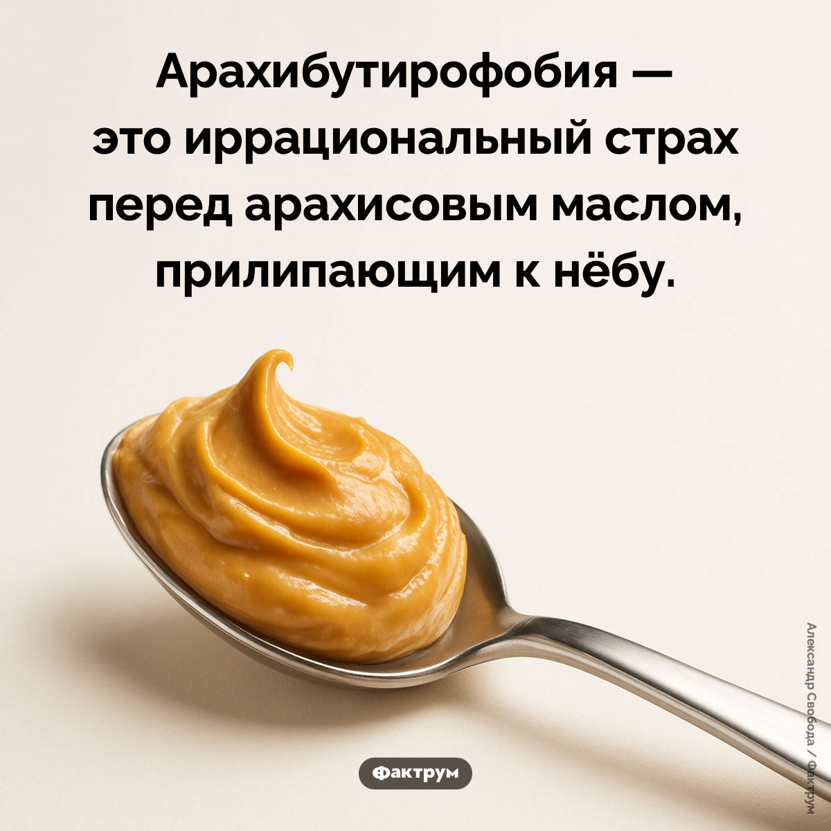 Что такое арахибутирофобия. Арахибутирофобия — это иррациональный страх перед арахисовым маслом, прилипающим к нёбу.