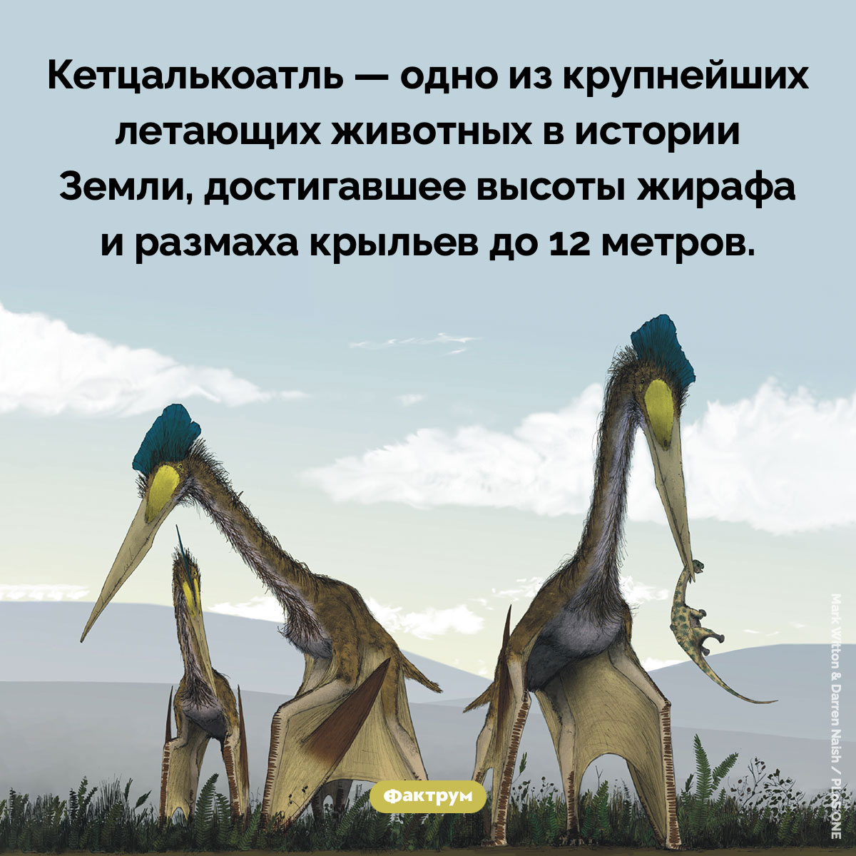 Невероятный кетцалькоатль