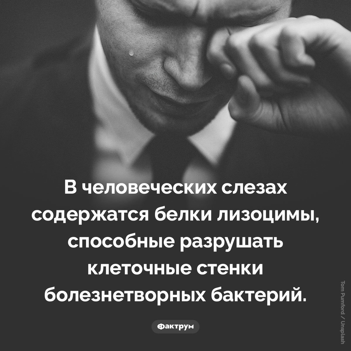 Слёзы имеют лечебные свойства. В человеческих слезах содержатся белки лизоцимы, способные разрушать клеточные стенки болезнетворных бактерий.