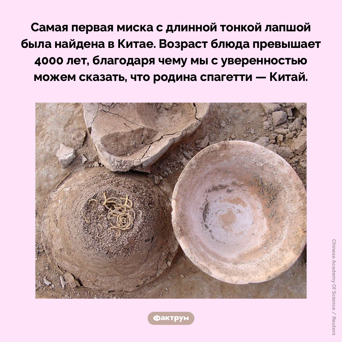 Спагетти придумали не в Италии. Самая первая миска с длинной тонкой лапшой была найдена в Китае. Возраст блюда превышает 4000 лет, благодаря чему мы с уверенностью можем сказать, что родина спагетти — Китай.