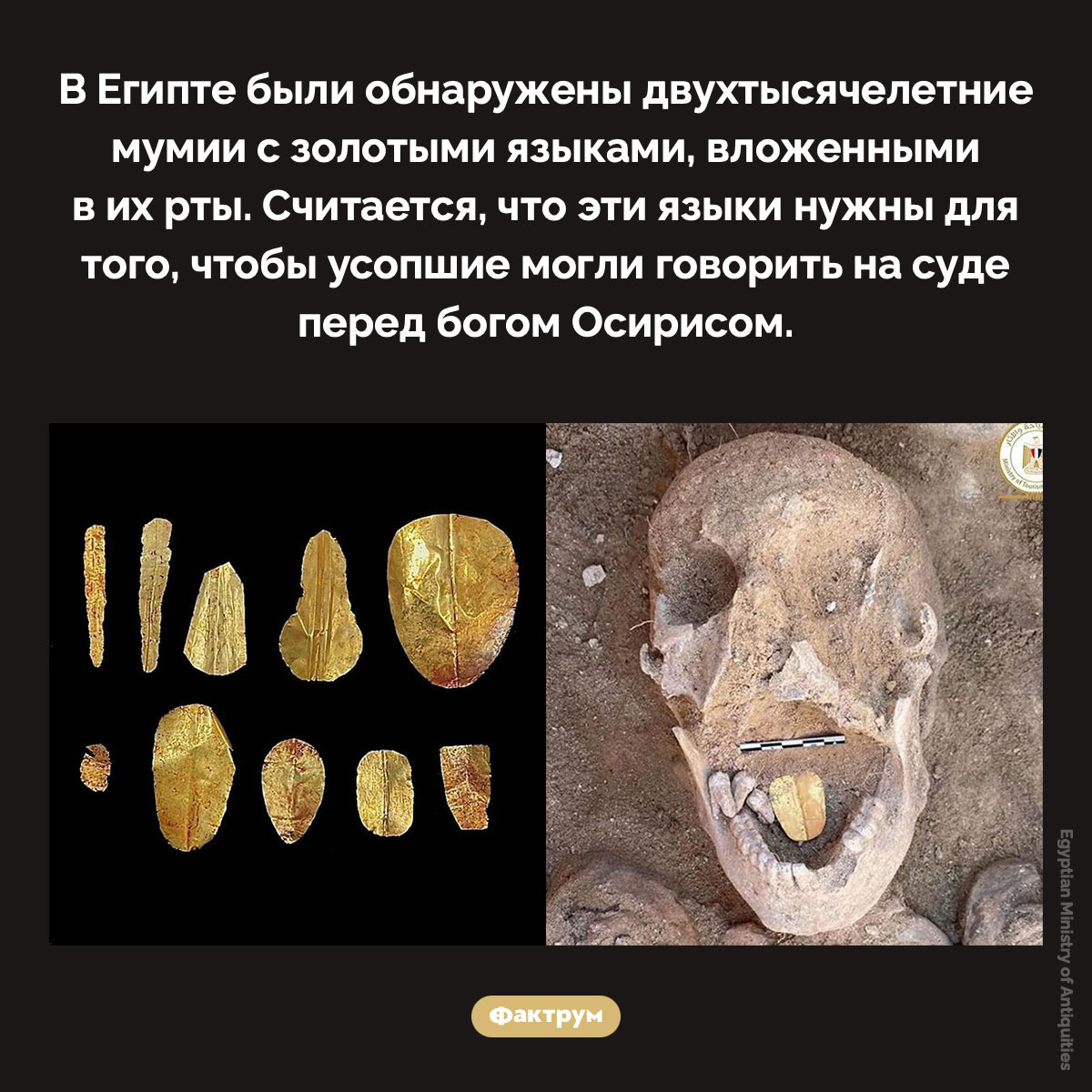 Золотые языки. В Египте были обнаружены двухтысячелетние мумии с золотыми языками, вложенными в их рты. Считается, что эти языки нужны для того, чтобы усопшие могли говорить на суде перед богом Осирисом.