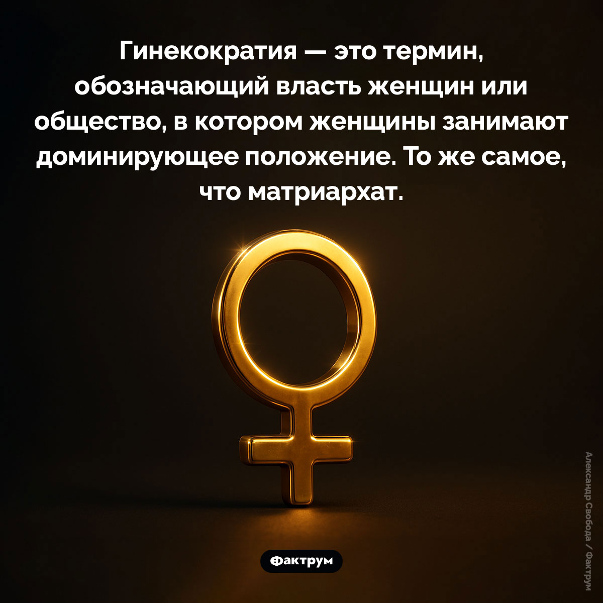 Что такое «гинекократия». Гинекократия — это термин, обозначающий власть женщин или общество, в котором женщины занимают доминирующее положение. То же самое, что матриархат.