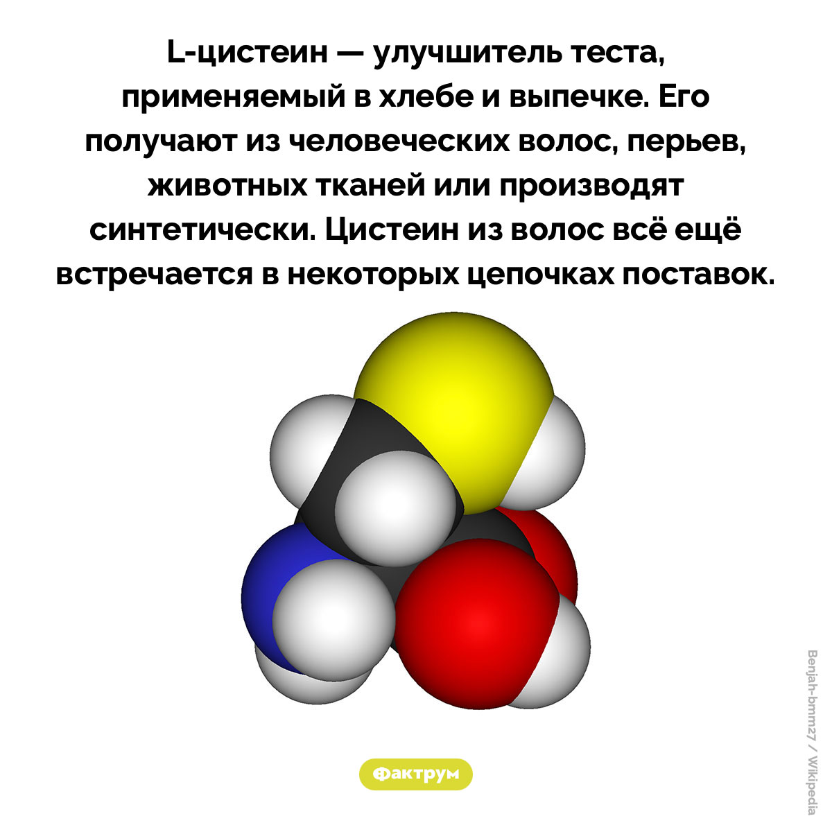 Хлеб из волос. L-цистеин — улучшитель теста, применяемый в хлебе и выпечке. Его получают из человеческих волос, перьев, животных тканей или производят синтетически. Цистеин из волос всё ещё встречается в некоторых цепочках поставок.