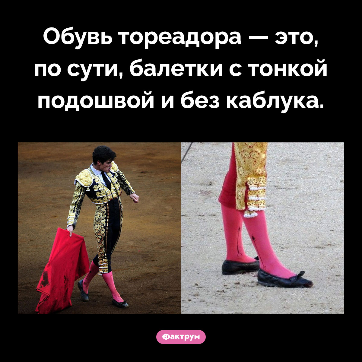 Обувь тореадора. Обувь тореадора — это, по сути, балетки с тонкой подошвой и без каблука.