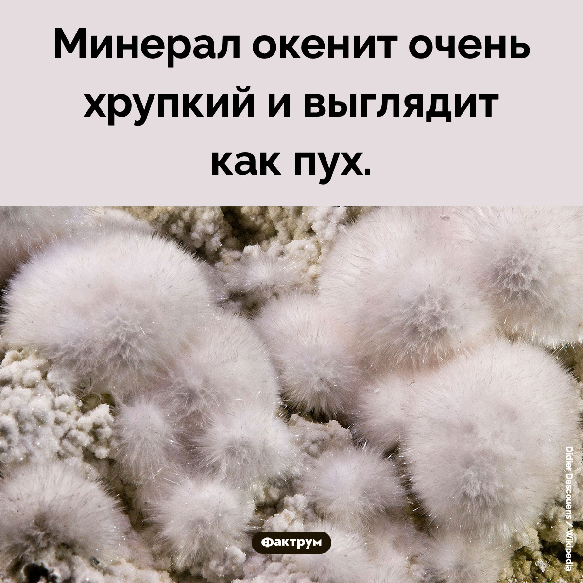 Окенит. Минерал окенит очень хрупкий и выглядит как пух.