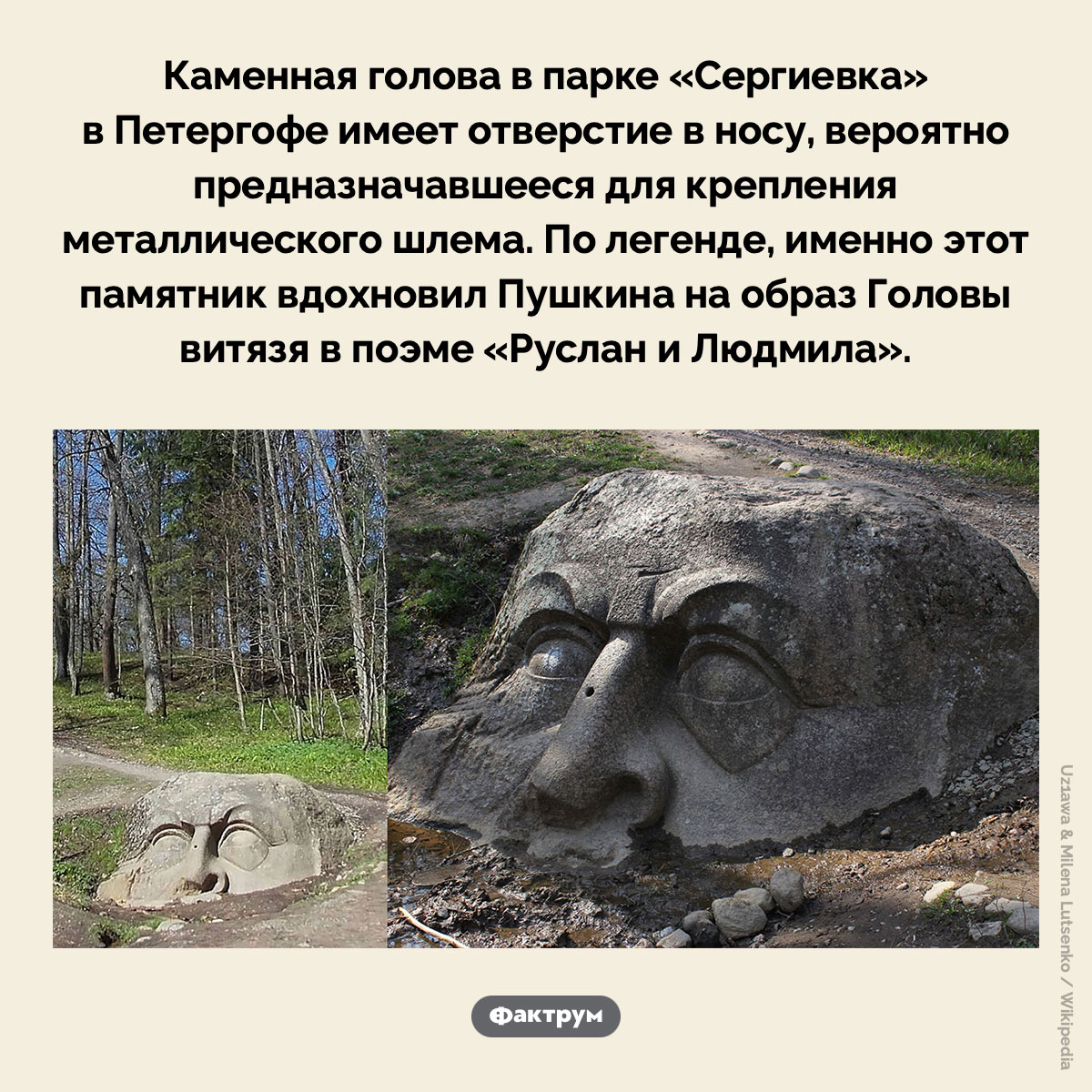 Прототип Головы витязя из «Руслана и Людмилы». Каменная голова в парке «Сергиевка» в Петергофе имеет отверстие в носу, вероятно предназначавшееся для крепления металлического шлема. По легенде, именно этот памятник вдохновил Пушкина на образ Головы витязя в поэме «Руслан и Людмила».