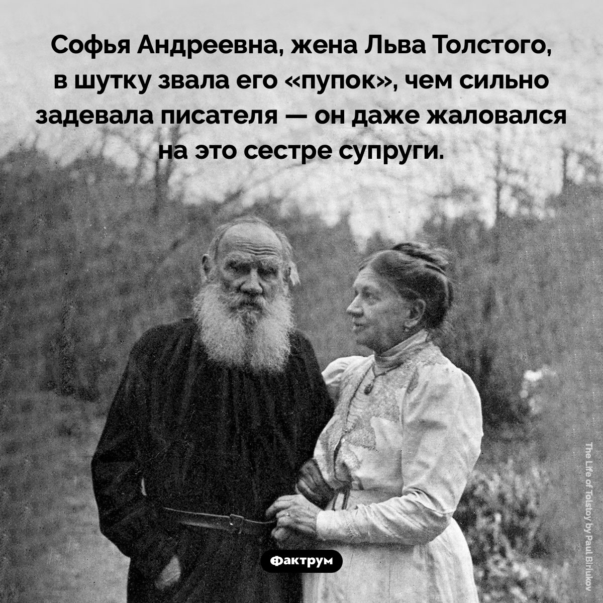 Толстой — «пупок». Софья Андреевна, жена Льва Толстого, в шутку звала его «пупок», чем сильно задевала писателя — он даже жаловался на это сестре супруги.