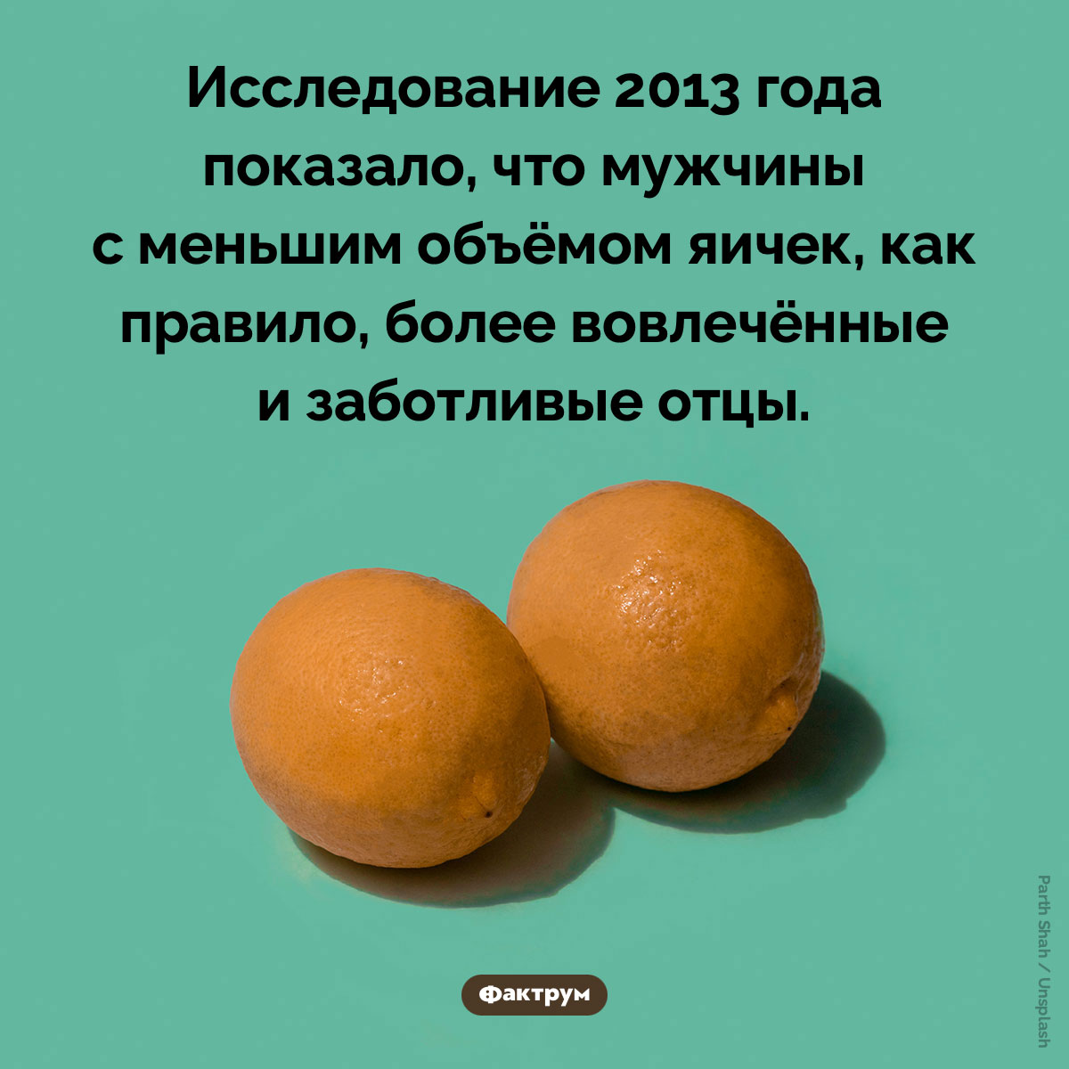 Заботливые отцы. Исследование 2013 года показало, что мужчины с меньшим объёмом яичек, как правило, более вовлечённые и заботливые отцы.