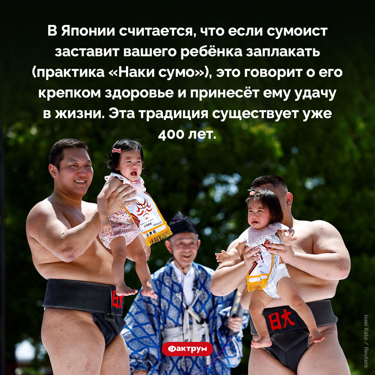 Зачем сумоисты заставляют детей плакать. В Японии считается, что если сумоист заставит вашего ребёнка заплакать (практика «Наки сумо»), это говорит о его крепком здоровье и принесёт ему удачу в жизни. Эта традиция существует уже 400 лет.