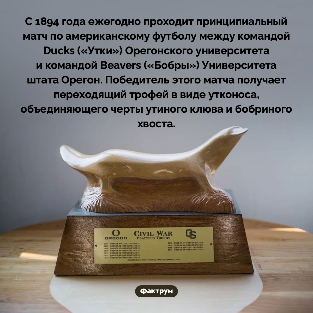 Ducks and Beavers. С 1894 года ежегодно проходит принципиальный матч по американскому футболу между командой Ducks («Утки») Орегонского университета и командой Beavers («Бобры») Университета штата Орегон. Победитель этого матча получает переходящий трофей в виде утконоса, объединяющего черты утиного клюва и бобриного хвоста.