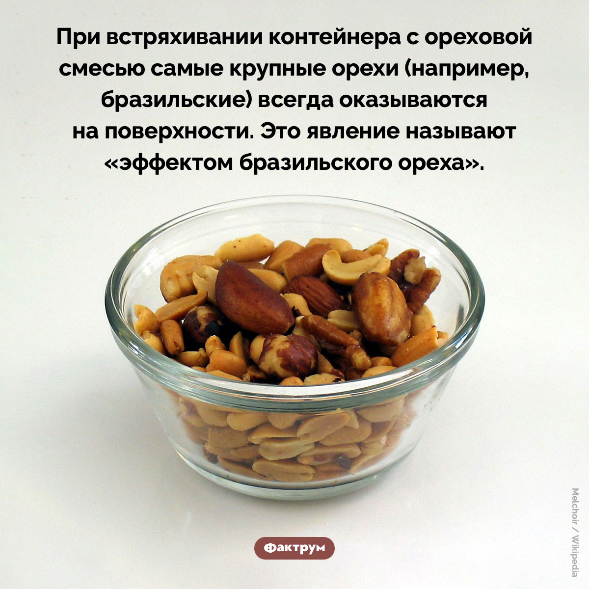Эффект бразильского ореха. При встряхивании контейнера с ореховой смесью самые крупные орехи (например, бразильские) всегда оказываются на поверхности. Это явление называют «эффектом бразильского ореха».