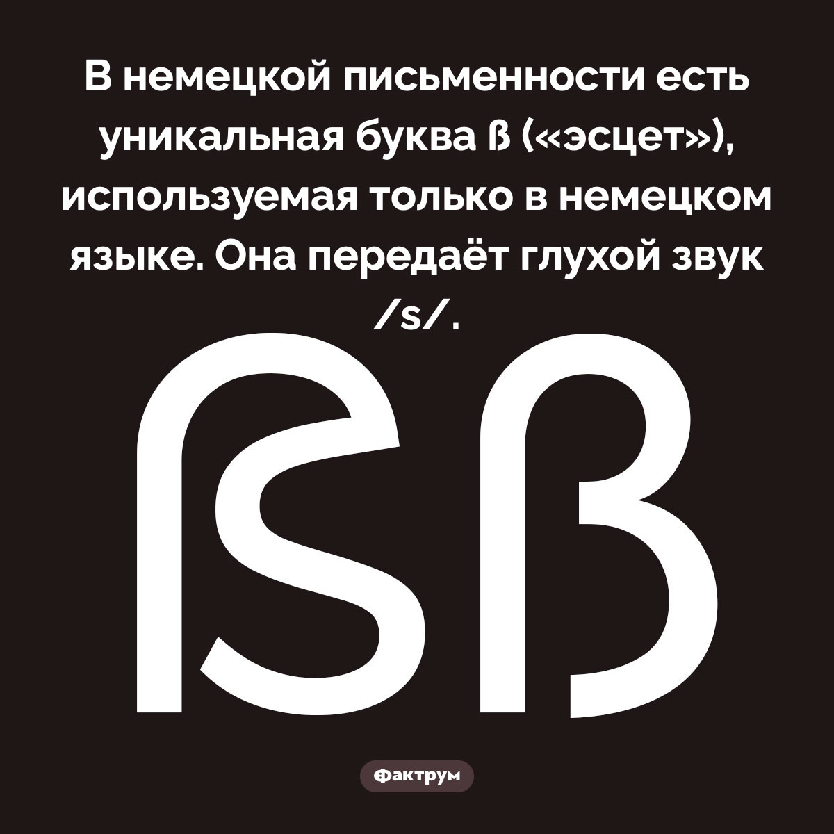 Эсцет. В немецкой письменности есть уникальная буква ß («эсцет»), используемая только в немецком языке. Она передаёт глухой звук /s/.