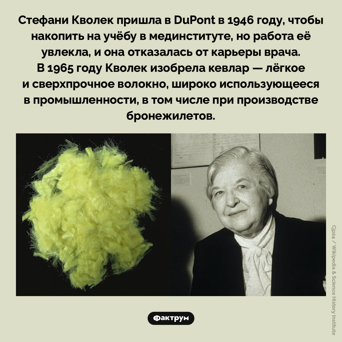 Изобретательница кевлара. Стефани Кволек пришла в DuPont в 1946 году, чтобы накопить на учёбу в мединституте, но работа её увлекла, и она отказалась от карьеры врача. В 1965 году Кволек изобрела кевлар — лёгкое и сверхпрочное волокно, широко использующееся в промышленности, в том числе при производстве бронежилетов.