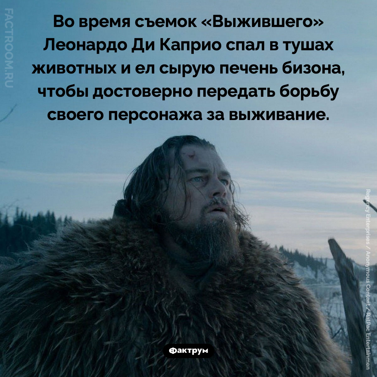 Как Леонардо Ди Каприо готовился к роли «Выжившего». Во время съемок «Выжившего» Леонардо Ди Каприо спал в тушах животных и ел сырую печень бизона, чтобы достоверно передать борьбу своего персонажа за выживание.