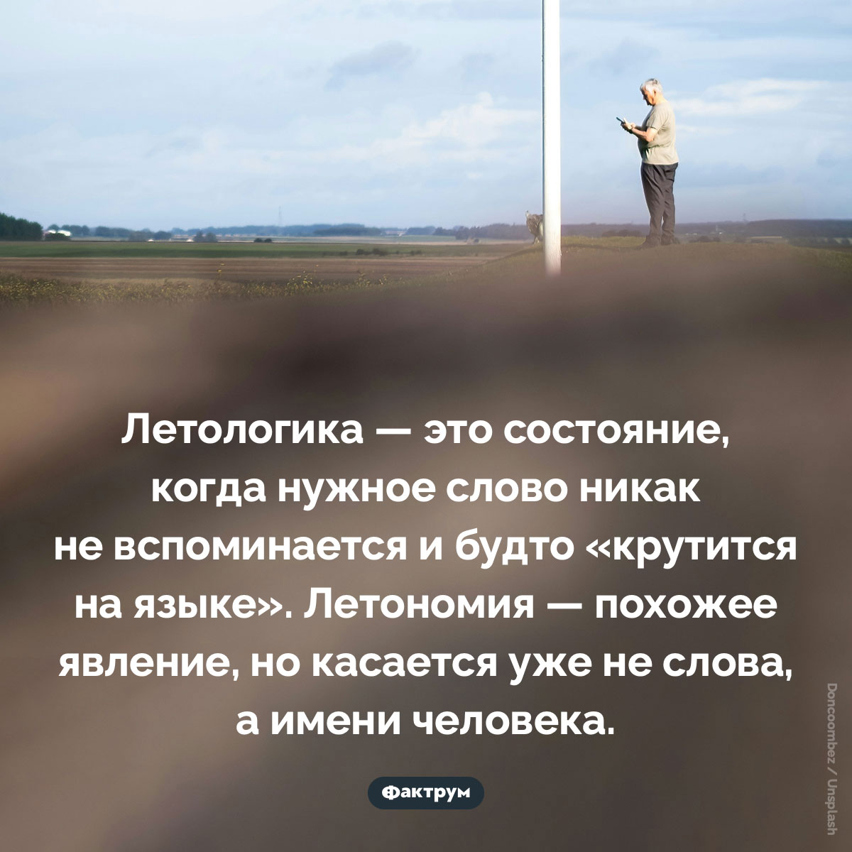 Летологика и летономия. 