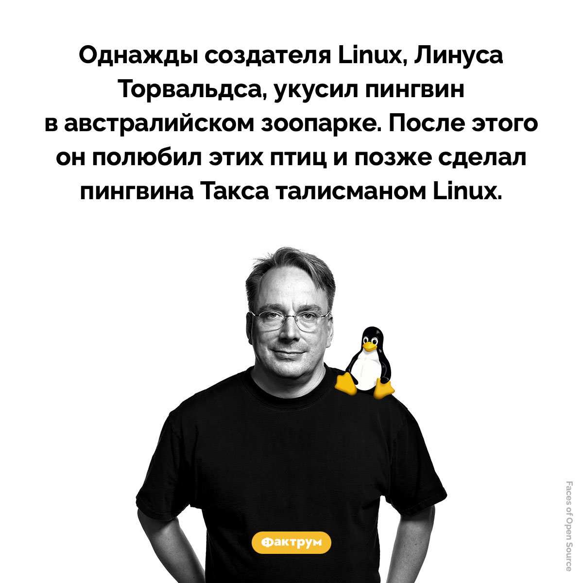 Линуса Торвальдса и пингвины. Однажды создателя Linux, Линуса Торвальдса, укусил пингвин в австралийском зоопарке. После этого он полюбил этих птиц и позже сделал пингвина Такса талисманом Linux.