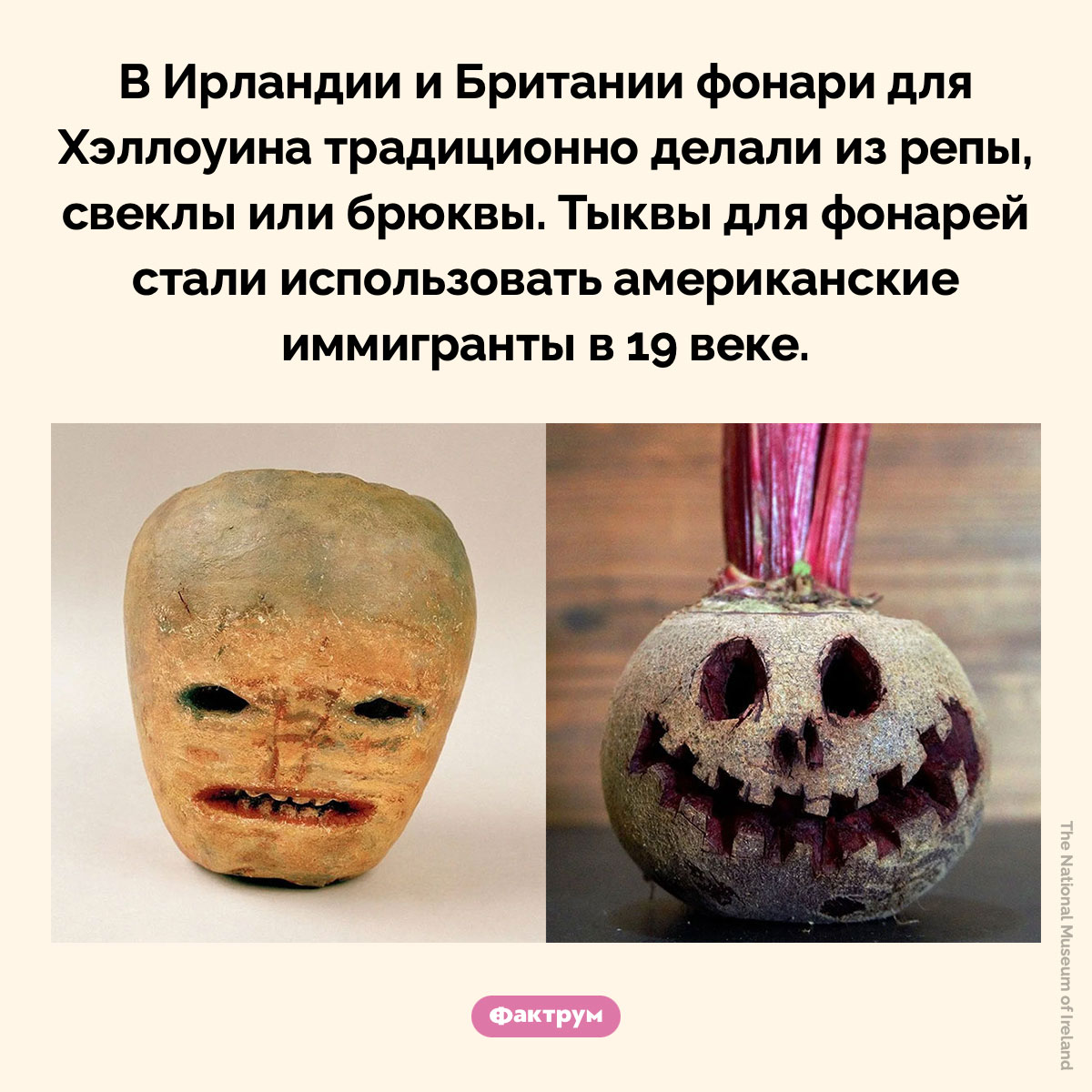 Овощи для Хэллоуина. В Ирландии и Британии фонари для Хэллоуина традиционно делали из репы, свеклы или брюквы. Тыквы для фонарей стали использовать американские иммигранты в 19 веке.