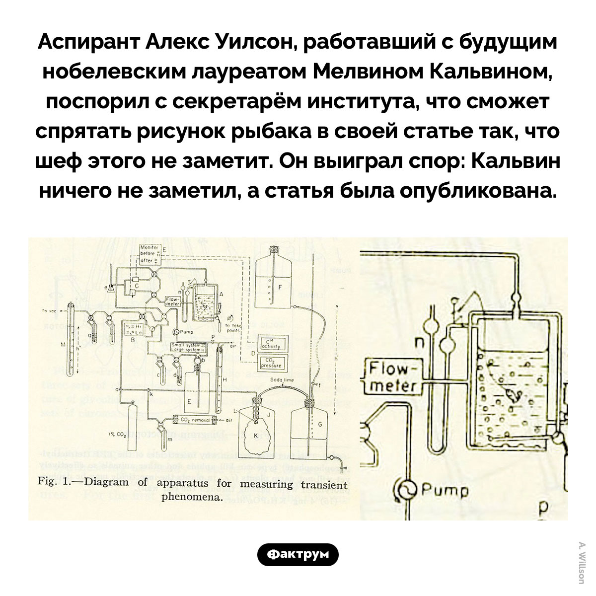 Пасхалка с рыбаком. Аспирант Алекс Уилсон, работавший с будущим нобелевским лауреатом Мелвином Кальвином, поспорил с секретарём института, что сможет спрятать рисунок рыбака в своей статье так, что шеф этого не заметит. Он выиграл спор: Кальвин ничего не заметил, а статья была опубликована.