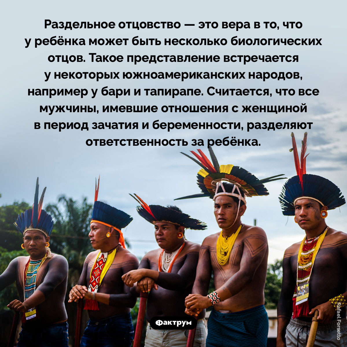 Раздельное отцовство. Раздельное отцовство — это вера в то, что у ребёнка может быть несколько биологических отцов. Такое представление встречается у некоторых южноамериканских народов, например у бари и тапирапе. Считается, что все мужчины, имевшие отношения с женщиной в период зачатия и беременности, разделяют ответственность за ребёнка.