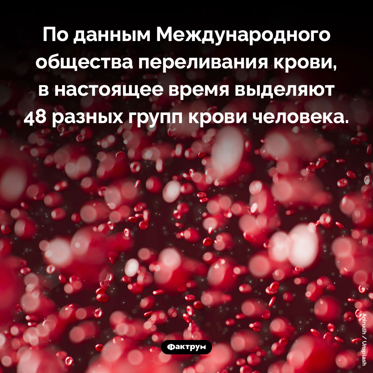 Сколько существует групп крови у человека. По данным Международного общества переливания крови, в настоящее время выделяют 48 разных групп крови человека.