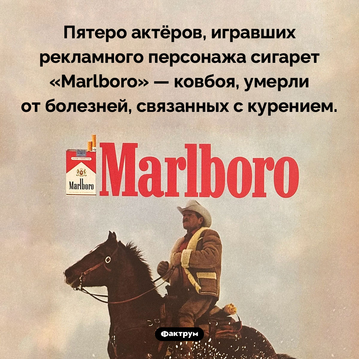 Смерть ковбоев Мальборо. Пятеро актёров, игравших рекламного персонажа сигарет «Marlboro» — ковбоя, умерли от болезней, связанных с курением.